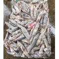 Frozen Purpleback Flying Squid 120-150g